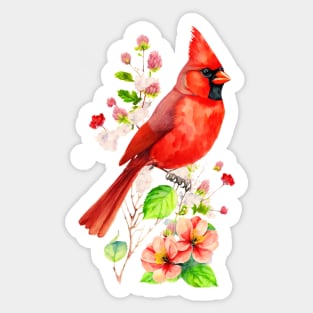 Watercolor Northern Red Cardinal Sticker